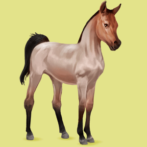 a889fd3451_75711283_o2.png